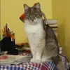 Отзыв от Татьяна Смирнова